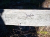 Garden of Eden Trail