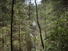 Helton Creek Falls