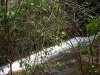 Helton Creek Falls