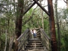 Suspension Bridge