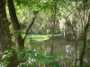 Hillsborough River State Park