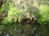 Hillsborough River State Park