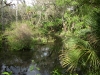 Hillsborough River State Park