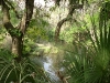 Hillsborough River State Park
