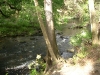 Hillsborough River State Park