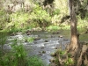 Hillsborough River State Park