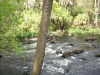 Hillsborough River State Park