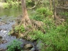 Hillsborough River State Park