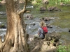 Hillsborough River State Park