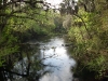 Hillsborough River State Park