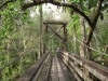Hillsborough River State Park