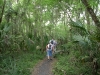 Hillsborough River State Park
