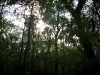 Hillsborough River State Park