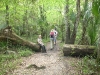 Hillsborough River State Park