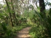 Hillsborough River State Park