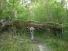 Hillsborough River State Park