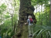 Hillsborough River State Park