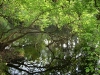Hillsborough River State Park