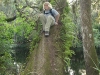 Hillsborough River State Park