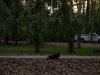 Hillsborough River State Park