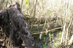Little Manatee River State Park