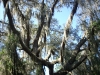 Little Manatee River State Park