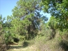 Little Manatee River State Park