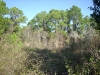 Little Manatee River State Park