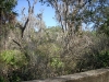 Little Manatee River State Park