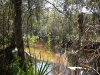Little Manatee River