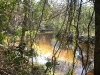 Little Manatee River