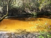 Little Manatee River