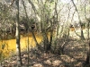 Little Manatee River