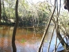 Little Manatee River