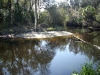 Little Manatee River