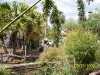Lowry Park Zoo in Tampa