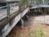 Lowry Park Zoo in Tampa