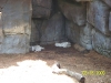 Lowry Park Zoo in Tampa