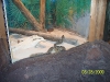 Lowry Park Zoo in Tampa