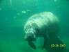 Lowry Park Zoo in Tampa