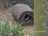 Lowry Park Zoo in Tampa