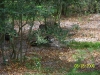 Lowry Park Zoo in Tampa