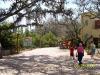Lowry Park Zoo in Tampa
