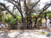 Lowry Park Zoo in Tampa