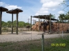 Lowry Park Zoo in Tampa