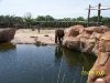 Lowry Park Zoo in Tampa