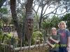 Lowry Park Zoo in Tampa