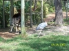 Lowry Park Zoo in Tampa