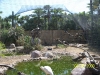 Lowry Park Zoo in Tampa