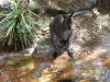 Lowry Park Zoo in Tampa